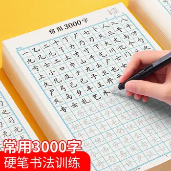 3000 žodžių, dažniausiai naudojamų valdyti raidžių, taisyklingų raidžių, taškų matricos potėpių rašiklio mokymą, kad būtų galima išmokti kopijavimo pratimus