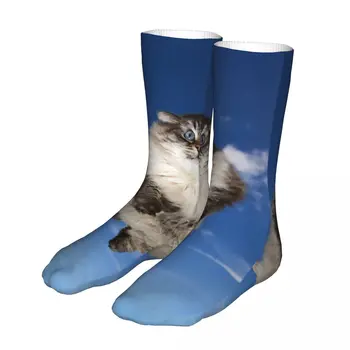 Vyrų sportas Juokinga katė, skraidanti debesyse Mėlynas dangus Kojinės Medvilnės kompresas Moteriška kojinė